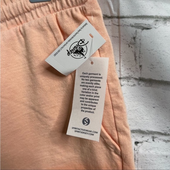 🏰 NWT Disney Parks Spirit Jersey shorts - Picture 3 of 6